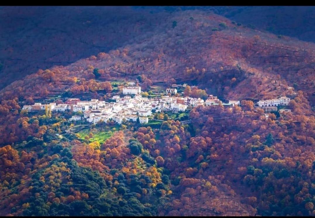 Casa Rural Los Jilgueros Pujerra Luaran gambar